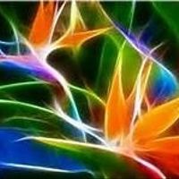 What are your wedding colors?