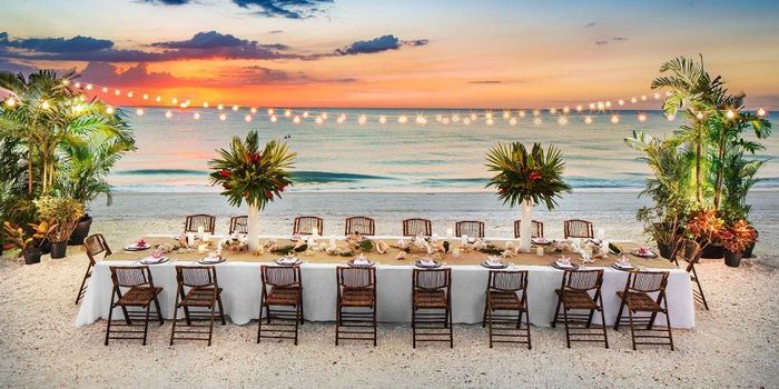 Always a beach lover, but never at the beach. 