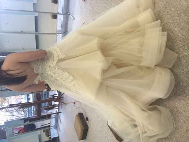 Lazaro 3413 Bustle HELP!