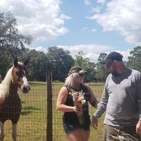 Engagement photo help - plus sized - 5