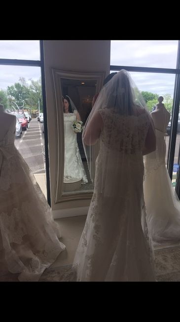 My Wedding Dress