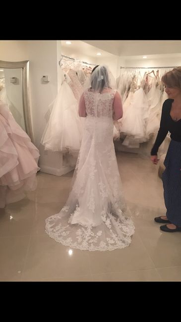 My Wedding Dress