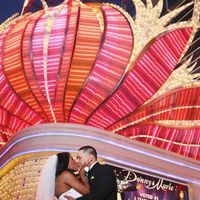 Viva la bam!! Pro bam