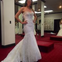 (*UPDATE* Page 5) DRESS IS IN!  But :'-( ...bad news, way too tight (PICS)