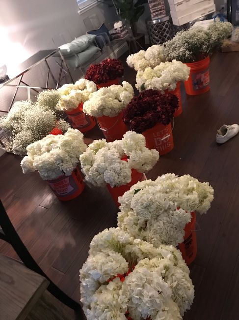 Calling all who have used Sam's Club or Costco for flowers! 5
