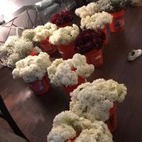 Good with Flowers - 1