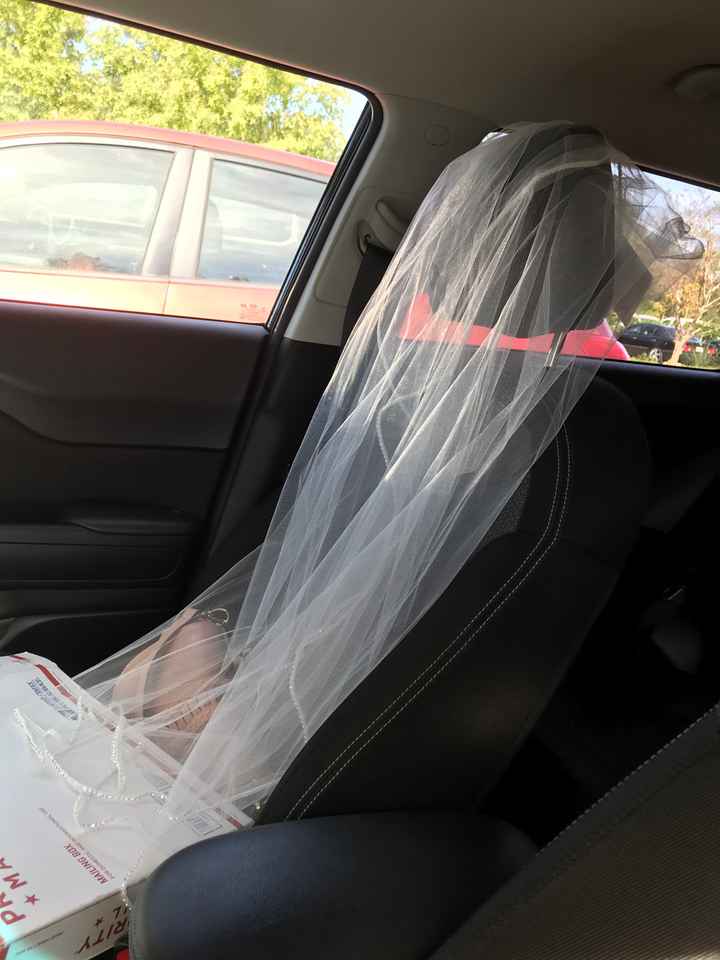 Veil or No Veil? - 1