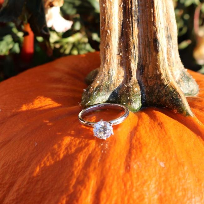 2019 Brides, Let's See Those E-rings 5