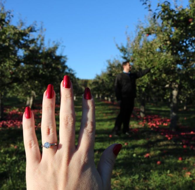 2019 Brides, Let's See Those E-rings 6