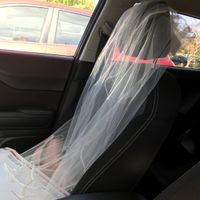 Veil or No Veil? - 1