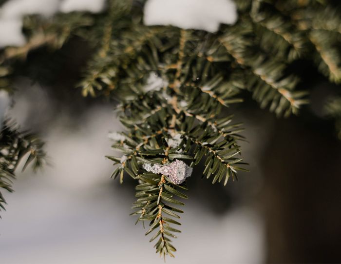 Rings💍💍💍 - 1