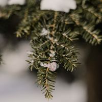 Rings💍💍💍 - 1