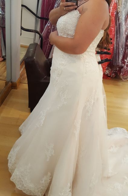 got my Dress! - 2
