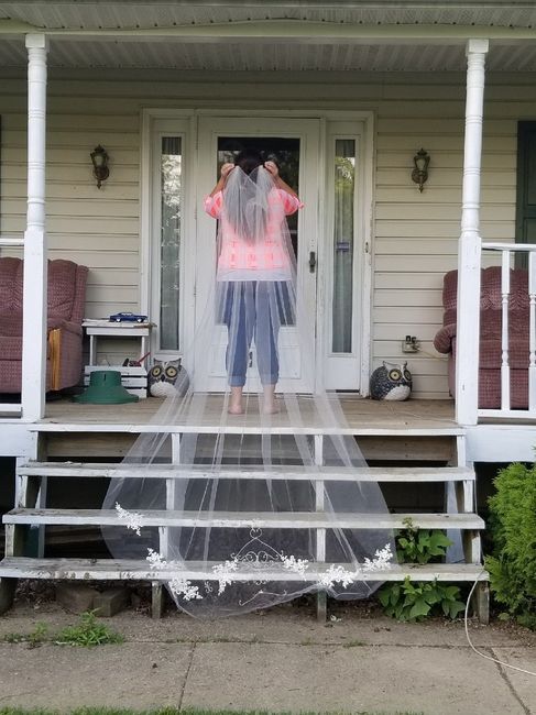 Show me your “budget” veils! - 1