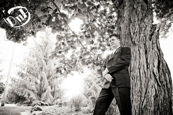 Wedding photos (more added)