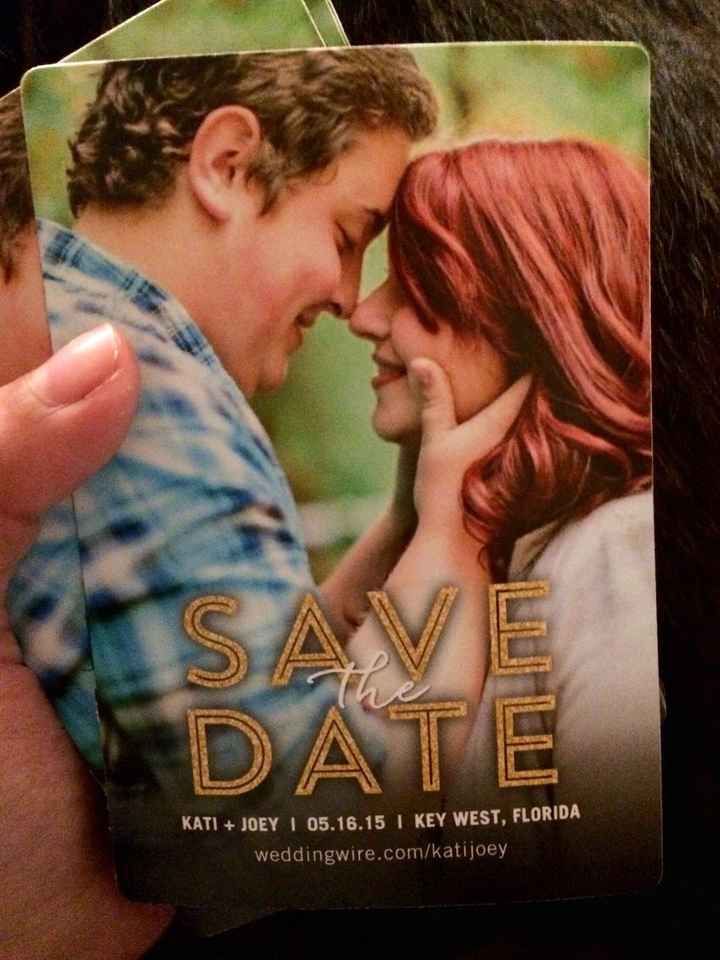 STD Magnet Brides