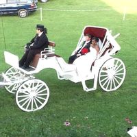 Horse-drawn carriage