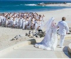 Am i crazy , we doing a All-White Wedding !