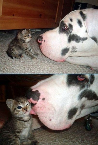 AWWWWWW