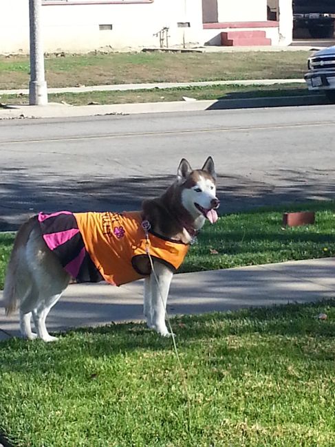 Show mee yourrr…..