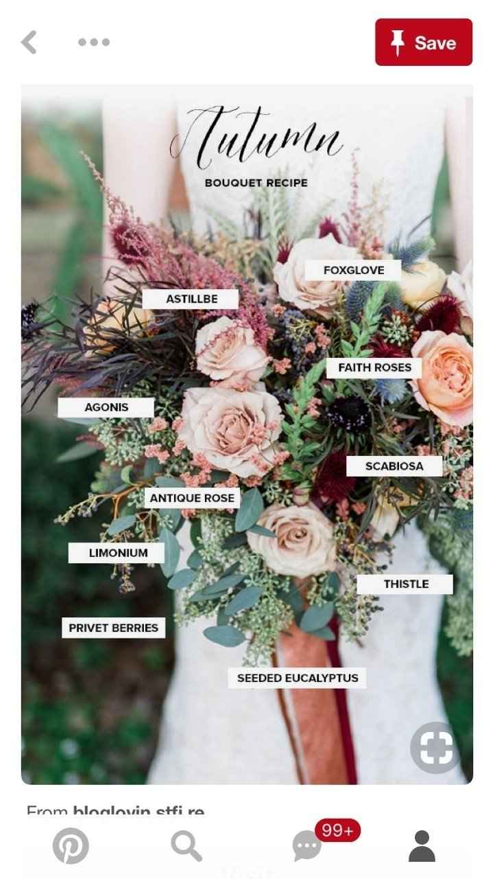 Lets talk about colors!