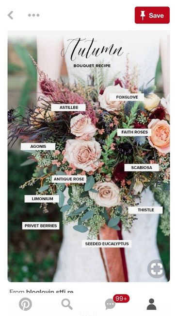 Lets talk about colors!