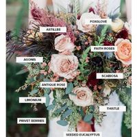 Lets talk about colors!