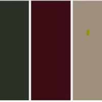 What colors did you choose for your wedding? - 2