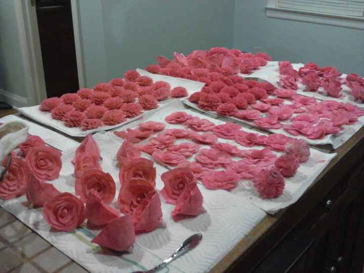 Dying Sola Flowers...