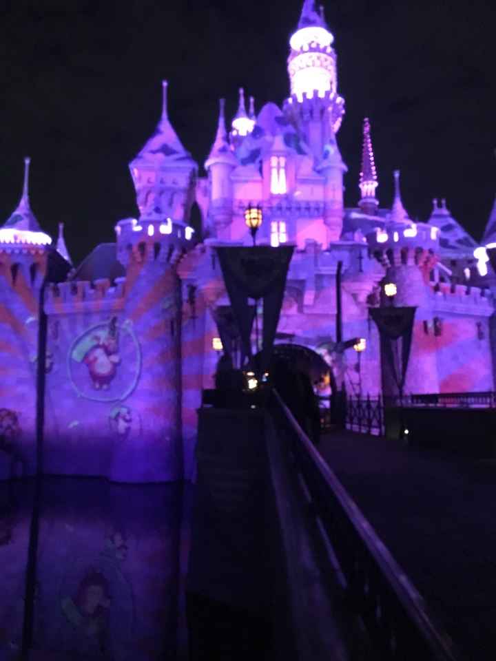 Proposal pics at Disney! - 2