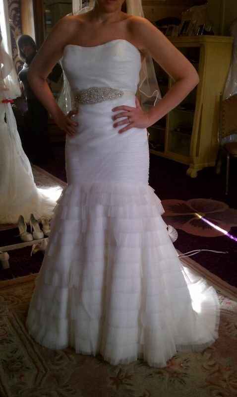 Anyone have there wedding dress picked out? Pics?