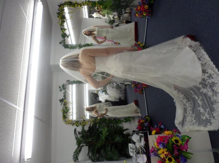 Wedding dress Before and After