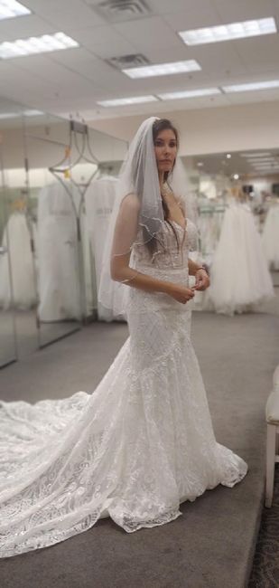 Let's See Your Dresses! 6