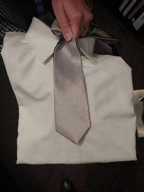 Got Groom’s Suit Today / Help Me Pick a Tie 8