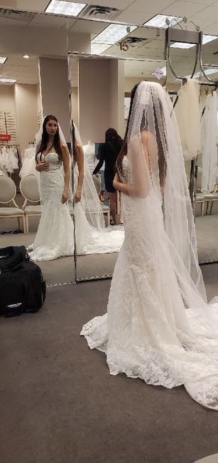 Let's See Your Dresses! 11