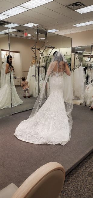 Let's See Your Dresses! 12