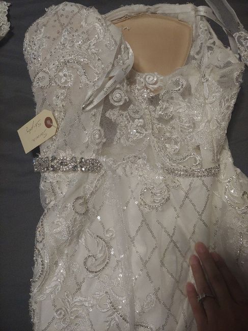 First Fitting Success!! David's Bridal 5