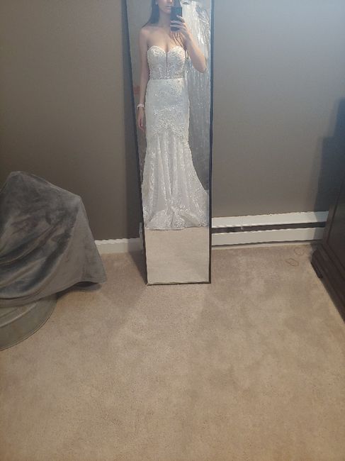 First Fitting Success!! David's Bridal 11