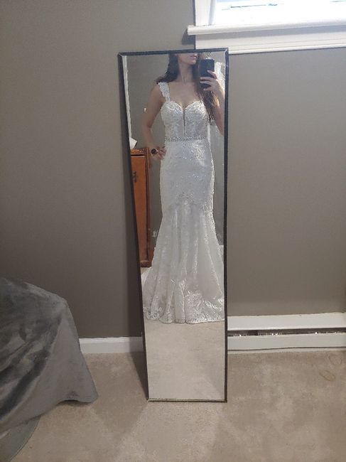 First Fitting Success!! David's Bridal 12