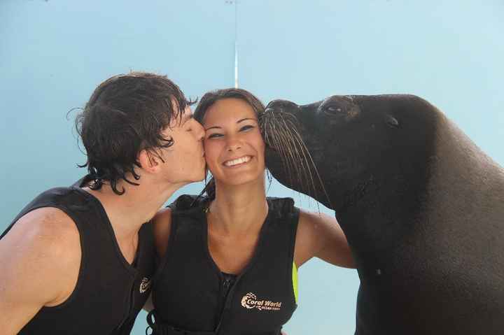 Honeymoon in St Thomas - 1