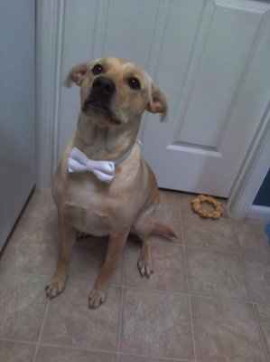 Don't tell Mens Wearhouse, but....