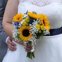 Wegman's flower photos -- especially NoVa