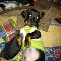 It's my baby's 1st Birthday! (PICS)