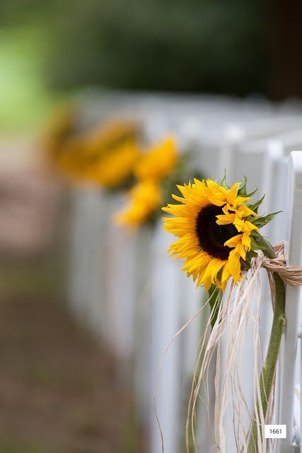 Renewal of vows - DIY Sunflower Decorations 1