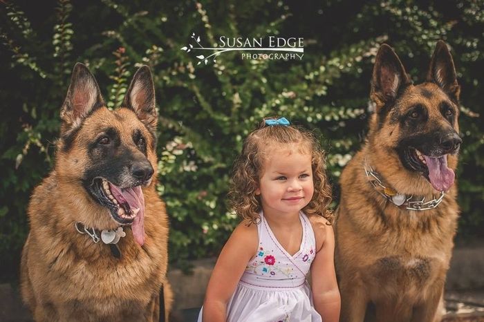 Nwr- fur babies