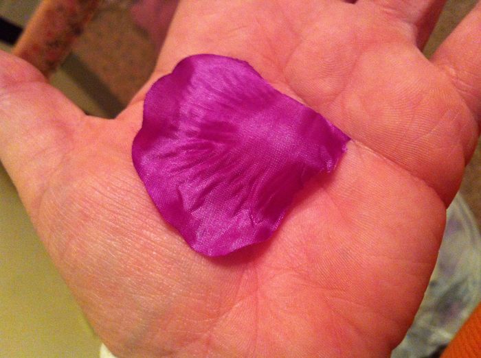 Oh the petals!!!
