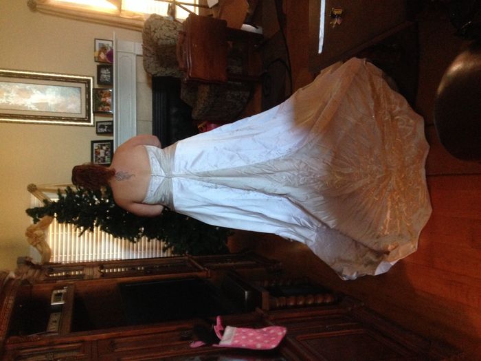 the dress!!!!