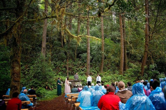 Holly's Oregon campground wedding BAM, in 17(?) installments