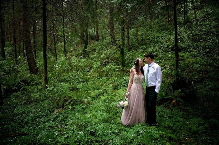Holly's Oregon campground wedding BAM, in 17(?) installments