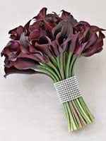 Purple Flowers